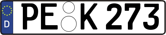 PE-K273