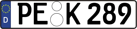 PE-K289