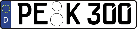 PE-K300