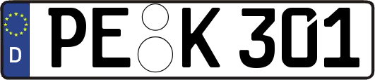 PE-K301