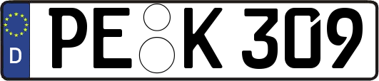 PE-K309