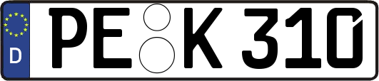 PE-K310