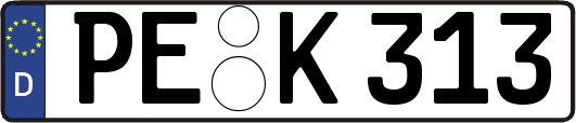 PE-K313
