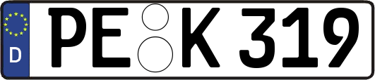 PE-K319