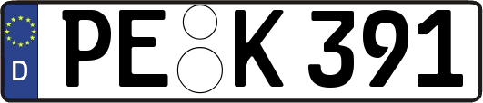 PE-K391