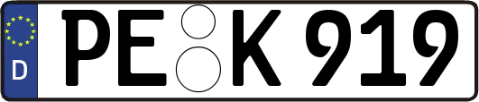 PE-K919