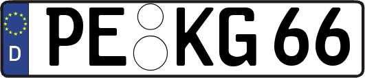 PE-KG66