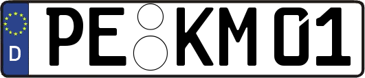 PE-KM01