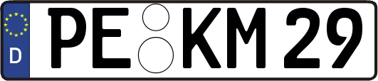 PE-KM29