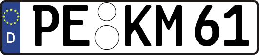 PE-KM61