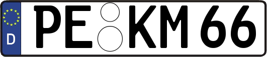 PE-KM66