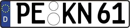 PE-KN61