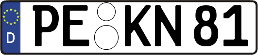 PE-KN81