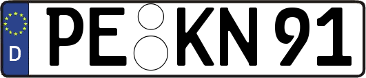 PE-KN91