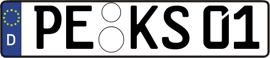 PE-KS01