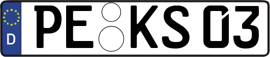 PE-KS03