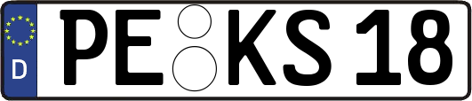 PE-KS18