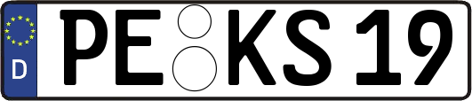 PE-KS19