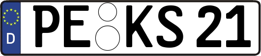 PE-KS21