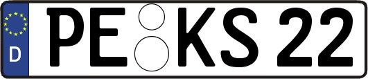 PE-KS22