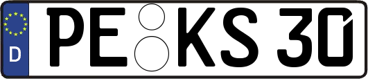 PE-KS30