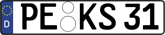 PE-KS31