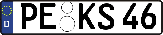 PE-KS46