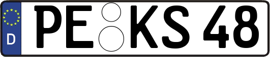 PE-KS48
