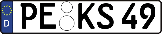 PE-KS49