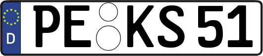 PE-KS51