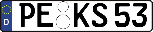 PE-KS53