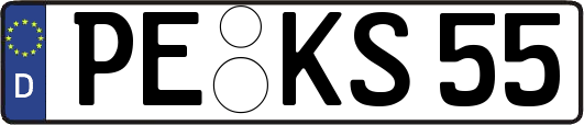 PE-KS55