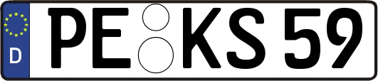 PE-KS59
