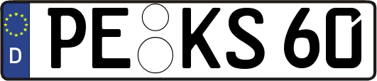 PE-KS60