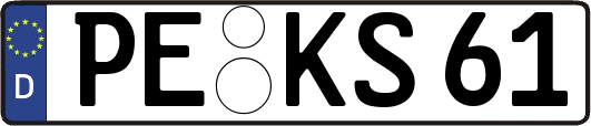 PE-KS61