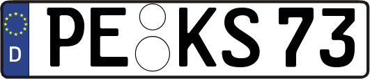 PE-KS73