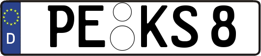 PE-KS8