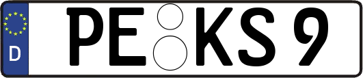 PE-KS9