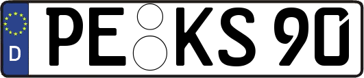 PE-KS90