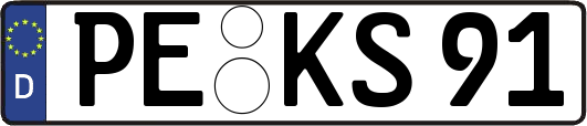 PE-KS91