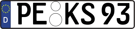 PE-KS93
