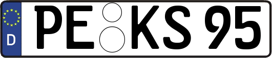 PE-KS95