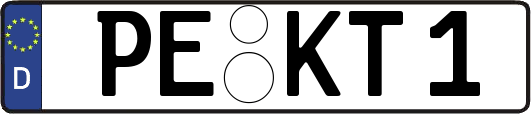 PE-KT1