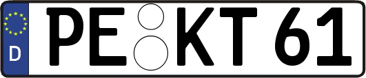 PE-KT61