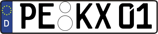PE-KX01