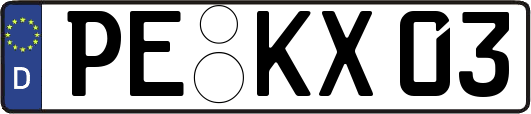 PE-KX03