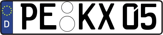 PE-KX05