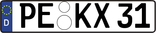 PE-KX31