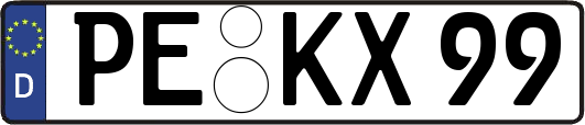 PE-KX99