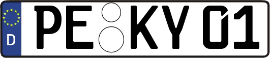 PE-KY01